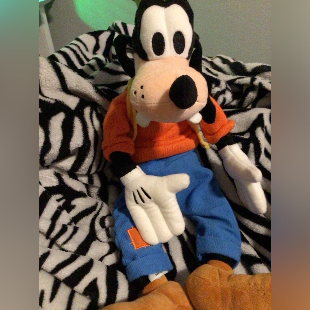 Goofy Plush from Disney World about 20” tall